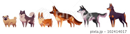 Cartoon set of dog breeds isolated on white 102414017