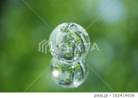 エコイメージ 森林 エコイメージ 森林 102414036