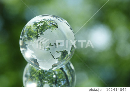 エコイメージ　森林 102414043