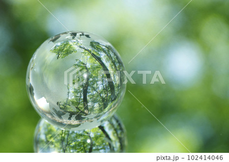 エコイメージ 森林 エコイメージ 森林 102414046