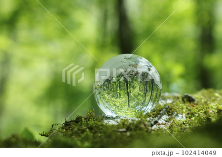 エコイメージ 森林 エコイメージ 森林 102414049