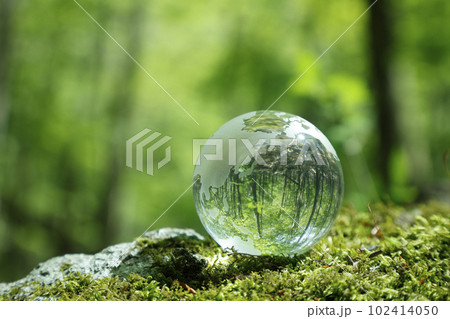 エコイメージ 森林 エコイメージ 森林 102414050