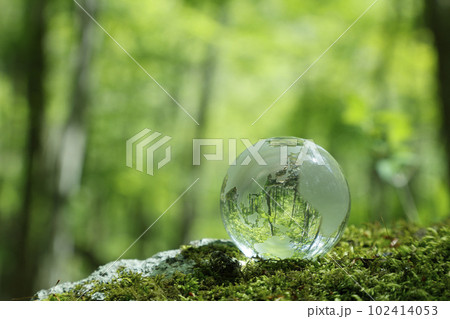 エコイメージ　森林 102414053