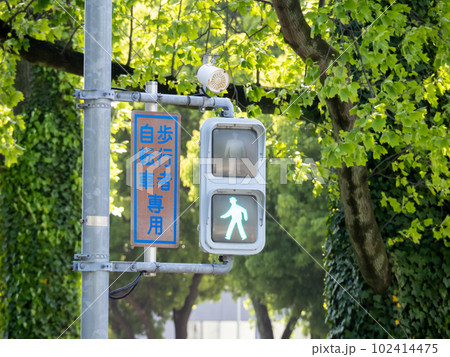 信号機(自転車歩行者専用)。 102414475
