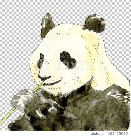 熊貓要吃竹草 102415059