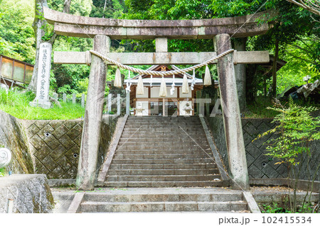大阪府高槻市の檜尾山春日神社　参道と鳥居 102415534