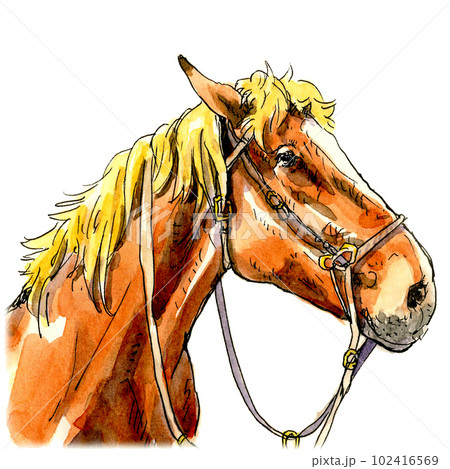 横向きの馬 102416569
