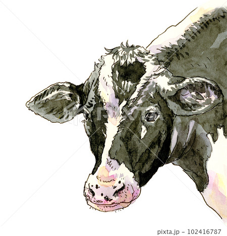 白黒の牛 102416787