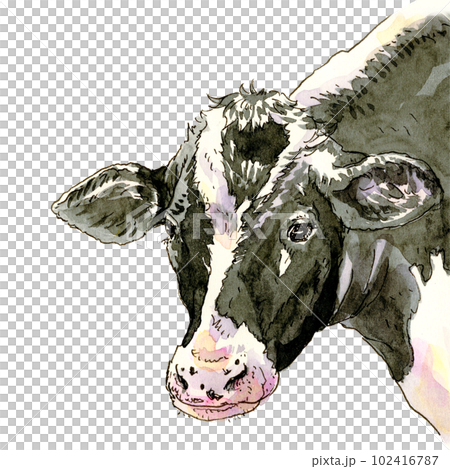 白黒の牛 102416787