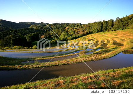 日本の棚田100選 大山千枚田/千葉県鴨川市 日本の棚田100選 大山千枚田/千葉県鴨川市 102417156