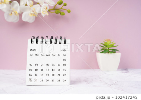 The July 2023 desk calendar and white orchid one pink color background. 102417245