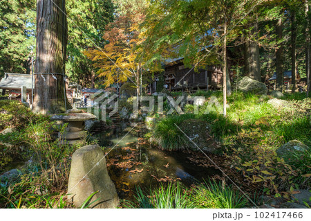 河口浅間神社　木漏れ日に包まれた境内　山梨県富士河口湖町 102417466