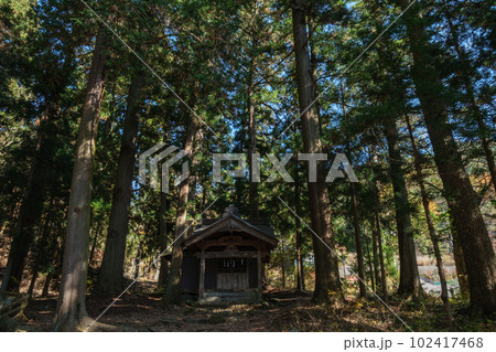 河口浅間神社　静謐な杉木立に佇む山宮社　山梨県富士河口湖町 102417468