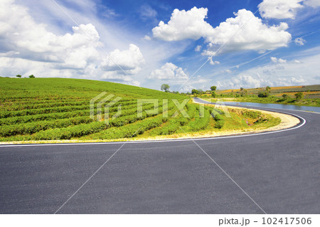 Choui Fong tea plantation and road at Mae jan tourist attraction at Chiang Rai province in thailand Choui Fong tea plantation and road at Mae jan tourist attraction at Chiang Rai province in thailand 102417506