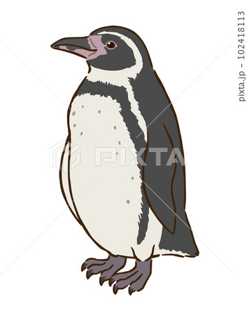 フンボルトペンギン 102418113