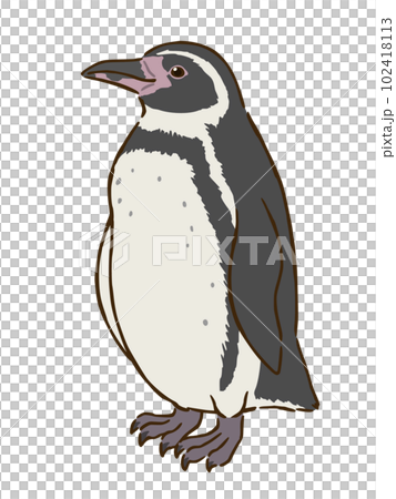 フンボルトペンギン 102418113