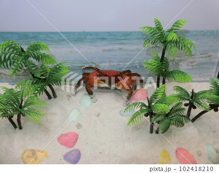 アカベンケイガニ アカベンケイガニ 102418210