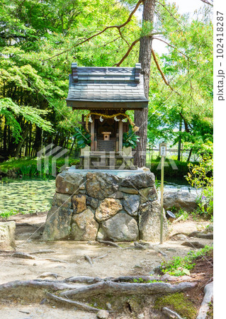 京都市西京区の大原野神社　地主社 102418287