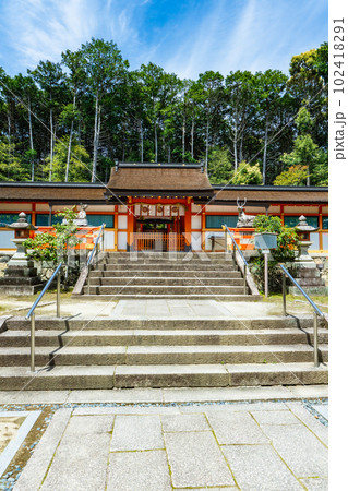 京都市西京区の大原野神社　中門（拝所） 102418291