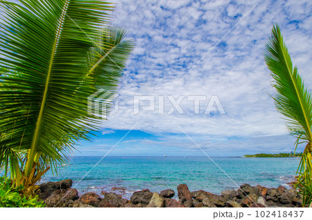 南国イメージ　ハワイ島　青い空、海　そして溶岩が固まってできた海岸 102418437