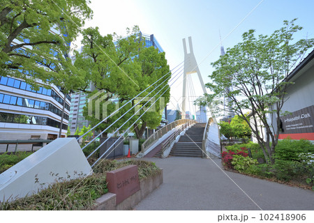 (愛知県)名古屋都市風景　名古屋テレビ塔と久屋大通公園セントラルブリッジ 102418906