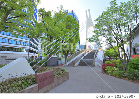 (愛知県)名古屋都市風景 名古屋テレビ塔と久屋大通公園セントラルブリッジ (愛知県)名古屋都市風景 名古屋テレビ塔と久屋大通公園セントラルブリッジ 102418907