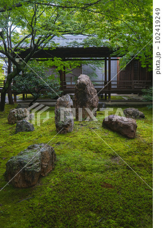 夏の京都 新緑の建仁寺 潮音庭 夏の京都 新緑の建仁寺 潮音庭 102419249