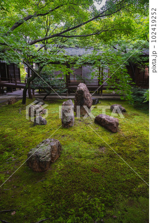 夏の京都 新緑の建仁寺 潮音庭 夏の京都 新緑の建仁寺 潮音庭 102419252
