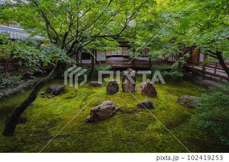 夏の京都 新緑の建仁寺 潮音庭 夏の京都 新緑の建仁寺 潮音庭 102419253