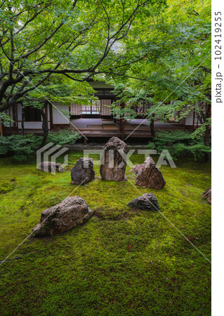 夏の京都　新緑の建仁寺 潮音庭 102419255