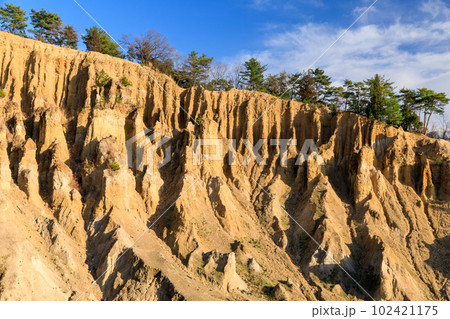 徳島_世界三大奇勝阿波の土柱の絶景風景 102421175