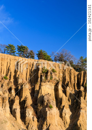 徳島_世界三大奇勝阿波の土柱の絶景風景 102421181