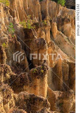 徳島_世界三大奇勝阿波の土柱の絶景風景 102421182
