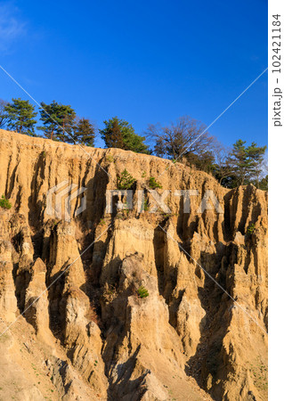 徳島_世界三大奇勝阿波の土柱の絶景風景 102421184