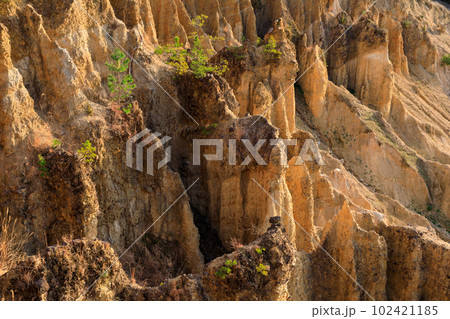 徳島_世界三大奇勝阿波の土柱の絶景風景 102421185