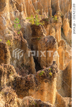 徳島_世界三大奇勝阿波の土柱の絶景風景 102421189