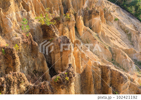 徳島_世界三大奇勝阿波の土柱の絶景風景 102421192