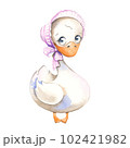 Watercolor cute goose in a pink hat on a white background. watercolor hand drawn illustration. 102421982