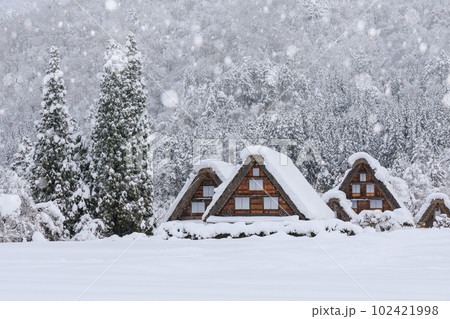 岐阜_豪雪の世界遺産白川郷の風景 岐阜_豪雪の世界遺産白川郷の風景 102421998