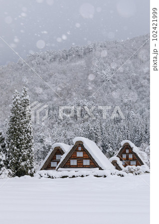 岐阜_豪雪の世界遺産白川郷の風景 102421999