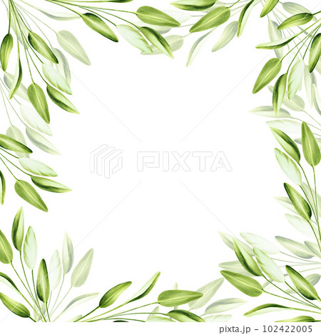 Watercolor frame with fresh sage isolated on background. Detail of beauty products and botany set, cosmetology and medicine. For designers, spa decoration, postcards, wrapping paper, scrapbooking Watercolor frame with fresh sage isolated on background. Detail of beauty products and botany set, cosmetology and medicine. For designers, spa decoration, postcards, wrapping paper, scrapbooking 102422005