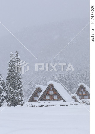 岐阜_豪雪の世界遺産白川郷の風景 102422020