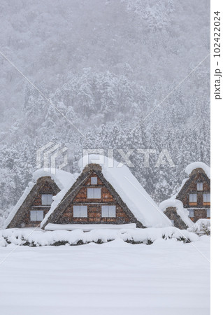 岐阜_豪雪の世界遺産白川郷の風景 102422024