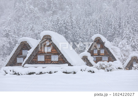 岐阜_豪雪の世界遺産白川郷の風景 102422027