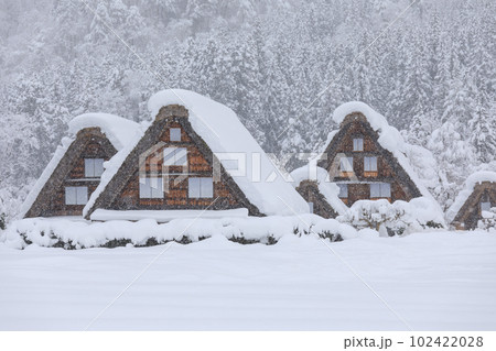 岐阜_豪雪の世界遺産白川郷の風景 102422028