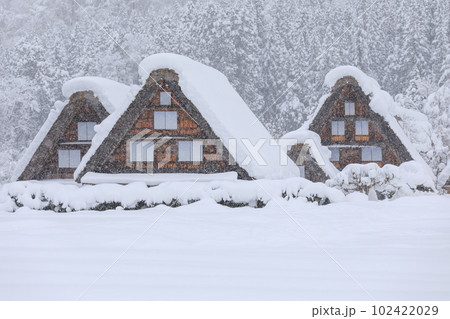 岐阜_豪雪の世界遺産白川郷の風景 102422029