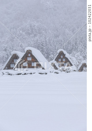 岐阜_豪雪の世界遺産白川郷の風景 岐阜_豪雪の世界遺産白川郷の風景 102422031