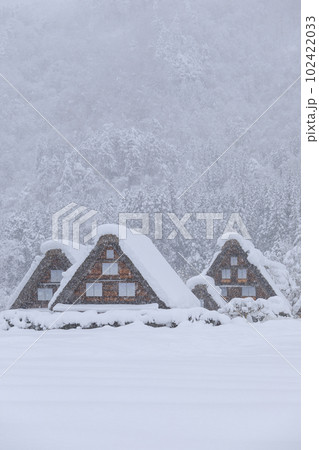 岐阜_豪雪の世界遺産白川郷の風景 102422033