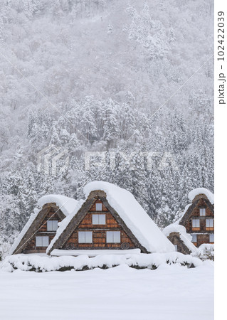 岐阜_豪雪の世界遺産白川郷の風景 102422039