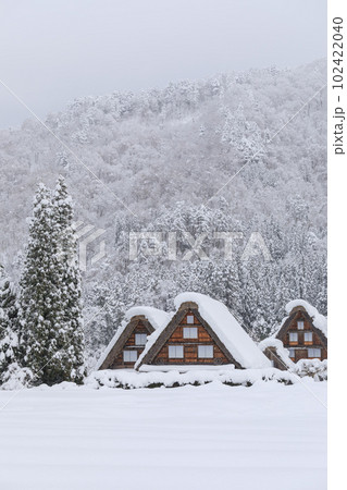 岐阜_豪雪の世界遺産白川郷の風景 岐阜_豪雪の世界遺産白川郷の風景 102422040
